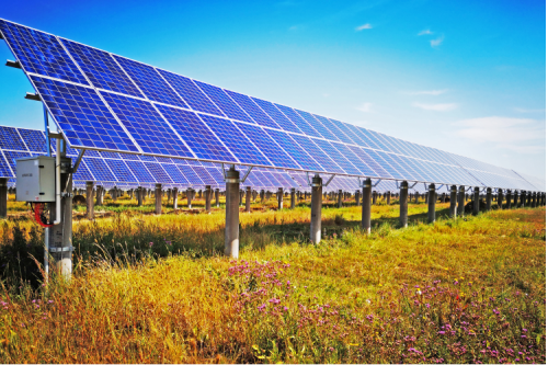 九洲集团：创新引领企业高质量发展，2022年一季度实现“开门红?”