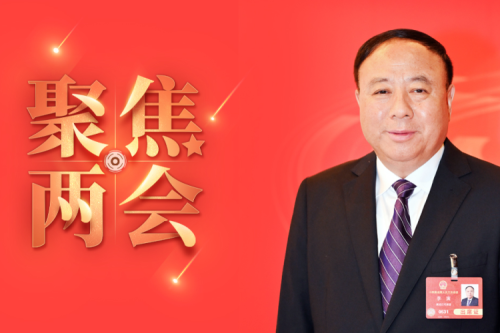 全国人大代表李寅2025年建议之四--尽快解决农林生物质发电可再生能源电价附加补助拖欠问题，化解行业经营风险的建议